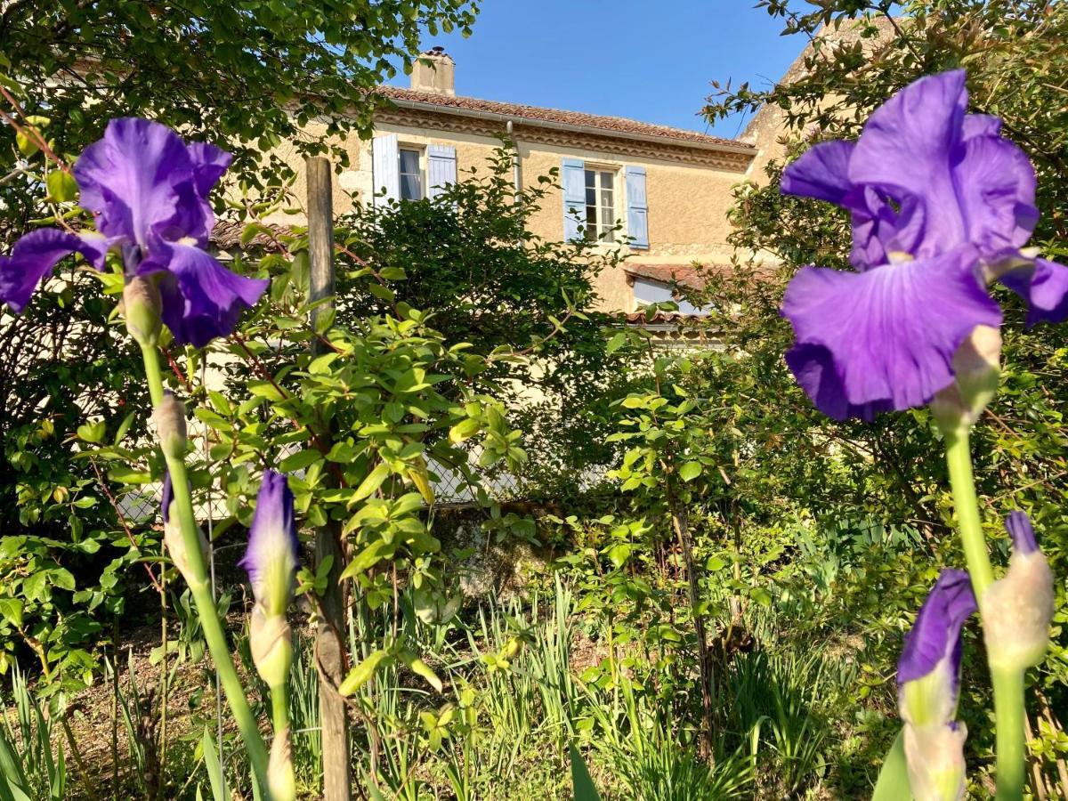Le Petit Cochon Bed & Breakfast Valence-sur-Baise Exterior photo